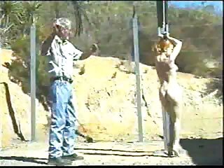 BDSM Vintage Whipping