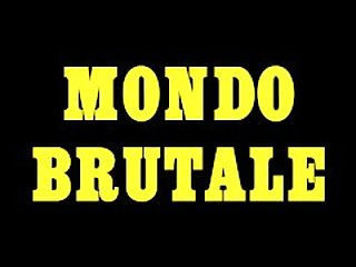 Karate King's Mondo Brutale (Album Teaser