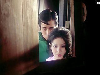 erinnerung an Sylvia Kristel sie starb mit