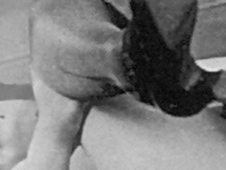 Garters & Thighs, My Secret Life, Vol.1