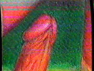 The Girl With the Hungry Eyes (1984)