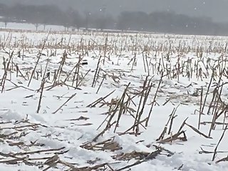 Adolescent teen gets railed by vintage