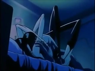 Wicked City Spider Chic