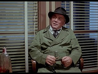 ❤BR   Dixie Ray Hollywood Star   ❤RC