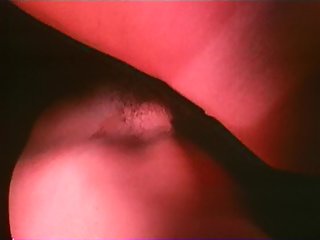 Screwing The Boss's Daughter